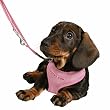 Welpen Softgeschirr m. Leine,23-34cm/2m/10mm, rosa