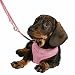 Welpen Softgeschirr m. Leine,23-34cm/2m/10mm, rosa