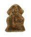 New Genuine Sheepskin Fur Leather Pelt Rug Tan/Brown