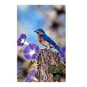 Bluebird and Morning Glories 11x14 Print by 