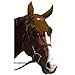 Intrepid International Fancy Ear Nets for Horses, Brown