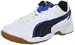 Puma Vellum III 102614, Unisex-Erwachsene Handballschuhe, Schwarz (black-white red 02), EU 42 (UK 8) (US 9)