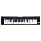 412qbZQW8IL. SL160  Yamaha NP30 Portable Grand Piano