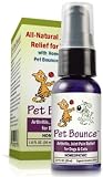 412qfht3k0L. SL160 Pet Bounce Pet Arthritis and Pet Joint Pain Relief Supplement for Dogs and Cats ~ 2 Bottles