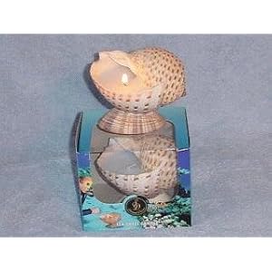 Sea Shell Candle