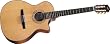 Taylor Guitars NS74-CE Grand Auditorium Acoustic Electric Classical Guitar