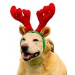 Kyjen Holiday Antlers, Large