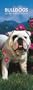 Bulldogs 2008 Slimline Calendar (German, French, Spanish and English Edition)