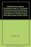 A Mediterranean society : the Jewish communities of the Arab world as portrayed in the documents of the Cairo Geniza. Vol.6, Cumulative indices