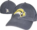 Buffalo Sabres Franchise Hat