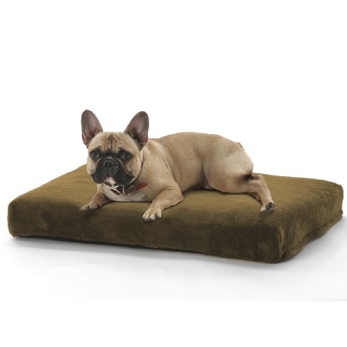 JLA Pets Orthopedic Napper 19 by 29-Inch Dog Bed, Chocolate