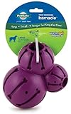 PetSafe Busy Buddy Barnacle Dog Toy, Large
