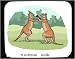 boxer42 - Decorated Mouse Pad with kangaroos boxers agilis macropus