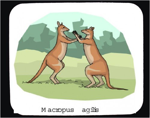 image link -  - B000T6KCHG