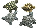 Accent Design Floral and Garden Accents Garden Friend Resin Turtle 2 36 pc Bulk Assorted Colors