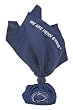 Penn State Nittany Lions NCAA Couch Flag