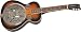 Rogue Classic Spider Resonator, Sunburst Squareneck