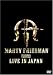 �ޡ��ƥ����ե꡼�ɥޥ󡦥������ӥåȡ��ӡ����饤�֡����󡦥���ѥ� [DVD]