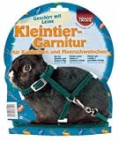 Trixie Kleintiergarnit. Nylon 8Mm 6150
