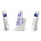 Sagem - D32T Trio - T�l�phone sans fil DECT/GAP + 2 Combin�s suppl�mentaires - Afficheur alphanum�rique - Identification de l'appelant - R�pertoire 100 contacts