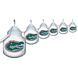 IMAGE OF Collegiate Patio Globe Lights, 6 light set - Florida