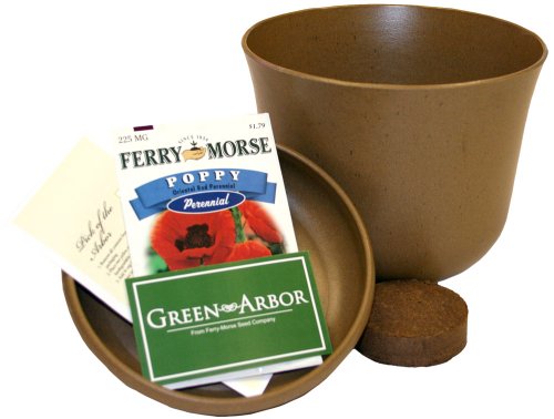 Green Arbor Pick of the Arbor - Khaki