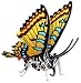 Butterfly Puzzle, Wooden 3D Puzzle-Yellow Swallow Tail Butterfly