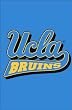 UCLA Bruins Flag - Garden Size