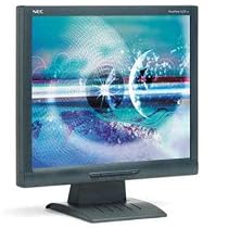 NEC LCD19V-BK 19-Inch TFT LCD Monitor (Black)