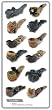 Tobacco Pipes Assorted Set of 12
