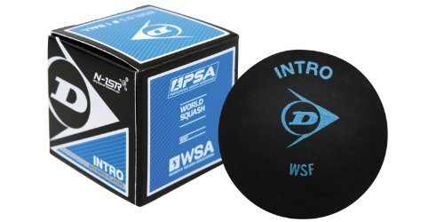 Dunlop intro beginner squash ball-single ball