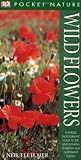 Wild flowers