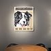 Border Collie 16in x 20in Canvas Print