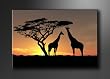 Bild auf Leinwand Afrika 120 x 80 cm Modell-Nr. XXL 5034 Bilder fertig gerahmt�auf echtem Holzrahmen riesig. Ausf�hrung Kunstdruck als Wandbild auf Rahmen. G�nstiger als �lbild Gem�lde Poster Plakat mit Bilderrahmen.