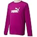 (プーマ)PUMA ラージロゴ LS Tee 818010