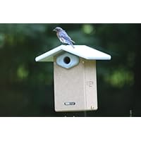 Birds Choice Ultimate Bluebird House w/Viewing Window