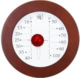 Galileo Thermometers 12
