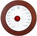 Galileo Thermometers 12" Wall Hanging with Red Sphere