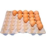 Biodegradable Chicken Egg Flats - Holds 30 Eggs Securely (pack of 6)