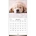 2015 Goldens Wall Calendar Trends International