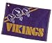 NFL Minnesota Vikings 16