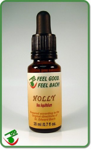 Feel Bach! flower Holly 20 ml