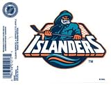 New York Islanders Reusable Static Window Cling