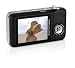 Kodak Easyshare V1233 