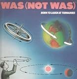 BORN TO LAUGH AT TORNADOES LP (VINYL ALBUM) US GEFFEN 1983