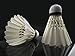 Senston A7 12xTraining Sport White Feather Shuttlecocks Birdies Badminton Ball Game(Dozen)