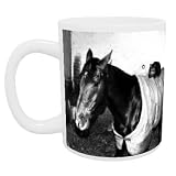 Cat called Josser - Mug - Standard Size