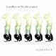 【初回限定B盤】Goodbye to My old avarice