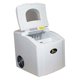 Palm Springs Machine � Gla�ons 12kg / 24h