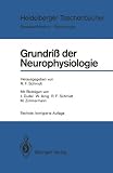 Produkt-Bild: Grundri&szlig; der Neurophysiologie. 171 Testfragen zur Selbstkontrolle. (Heidelberger Taschenbcher)